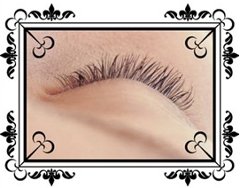 �h���X���b�V���Ńf�J�ڂς�����